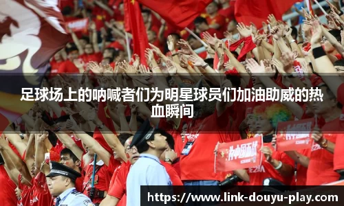足球场上的呐喊者们为明星球员们加油助威的热血瞬间